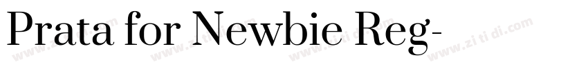 Prata for Newbie Reg字体转换